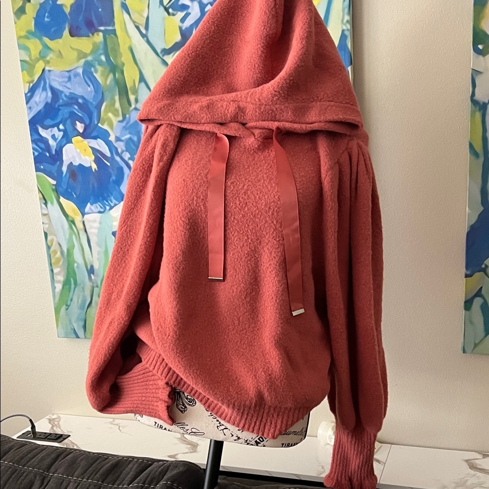 Express Coral Hooded Sweater
